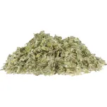 Profikoření - Řecký horský čaj, Hojník horský nať, řezaný jemně (10 Kg) (Hojník horský)