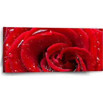 Obraz Sablio Obraz Růže - 110x50 cm