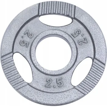 Litinový Závaží Gorilla Sports 2,5 kg