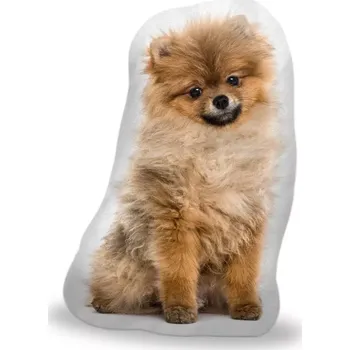 Polštář Sablio 3D polštář ve tvaru Pomeranian