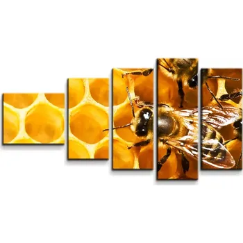 Obraz Sablio Obraz - 5-dílný Včely - 100x60 cm