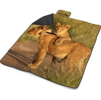 deka Sablio Plážová deka Lvíčata: 200x140 cm