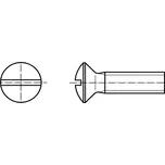 PROFISTYL DIN 964 šroub se zápustnou čočkovou hlavou a průběžnou drážkou mosaz MS Varianta: DIN 964 šroub čočková hlava průběžná drážka MS mosaz M5x50