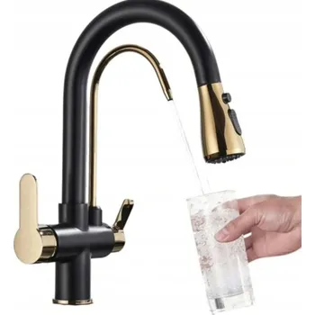 Vodovodní baterie Stojánková kuchyňská baterie Rozin 590695202 černá