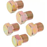 BGS 126-SM15 Zátka výpustě M15 x 1,5 mm, 5 ks (Sada BGS 126) (BGS100126-SM15)