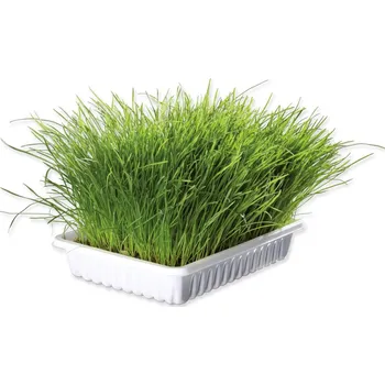 Pamlsek pro kočku Tráva Trixie miska pro koťata 100g - VÝPRODEJ