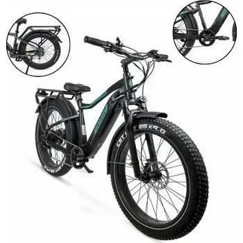 Elektrokolo Elektrokolo (do 250 W) Jobobike APEX, velikost rámu L, hliníkový rám, 26" kola, černé, 250 W