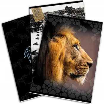 A4 Papírny Brno 80 listů