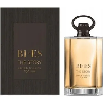 Pánský parfém Bi-es The Story for Him Toaletní voda 100 ml