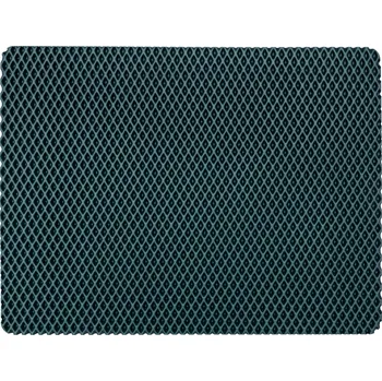 Obraz Max-Dywanik rohožka před kočičí toaletu, 59 cm x 44 cm x 1 cm