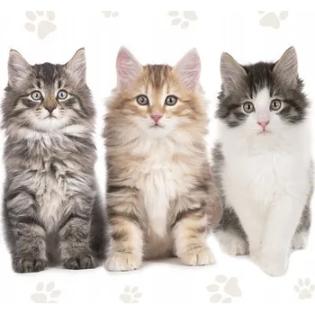 Papírový ubrousek PAPÍROVÉ UBROUSKY KOČKY, 33 X 33 CM, 20 KS