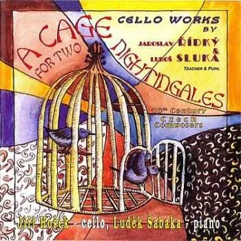 Zahraniční hudba CD Various: Klec Pro Dva Slavíky - Cd