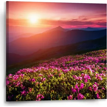 Obraz Sablio Obraz Rozkvetlá příroda - 50x50 cm