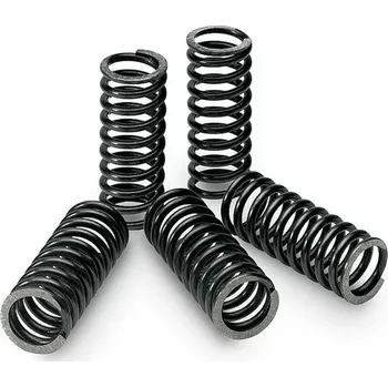 TECNIUM Sada spojkových pružin Box of 5 Yamaha YZ125 18426