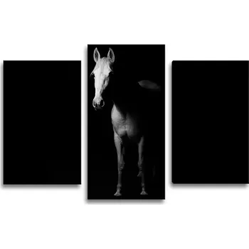 Obraz Sablio Obraz - 3-dílný Kůň ve stínu - 75x50 cm