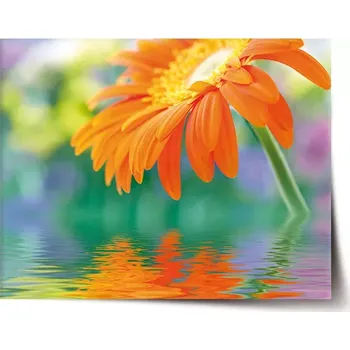 Plakát Sablio Plakát Oranžová gerbera - 120x80 cm