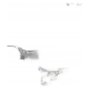 Těsnění výfuku Těsnění, výfukové trubka Kraft Automotive 1130866