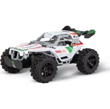 RC model auta RC auto Team Rider 2,4 GHz