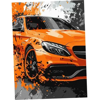 Obraz Obraz Malování podle čísel 30x40 IDEYKA NA RÁMU