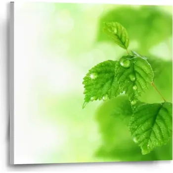 Obraz Sablio Obraz Listy 3 - 50x50 cm