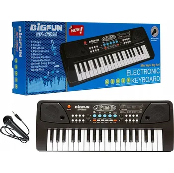 Hudební nástroj pro děti Varhany, pianinko, keyboard s mikrofonem, 37 kláves