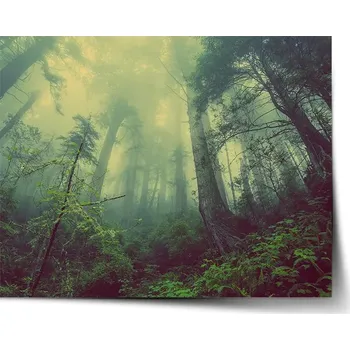 Plakát Sablio Plakát Temný les - 60x40 cm