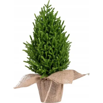 Vánoční stromek Umělý vánoční stromeček Homla Do 100 cm