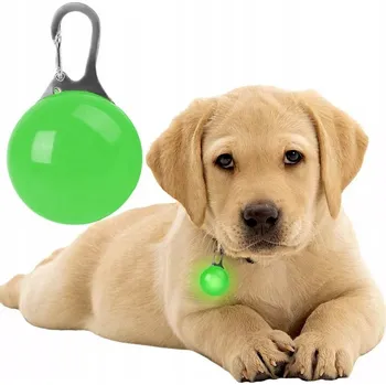 Obojek pro psa Svítící LED světlo na obojek přívěsek pro psa kočku mix barev