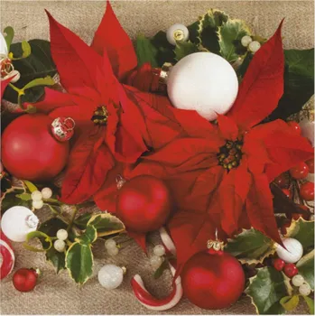 Papírový ubrousek Ubrousky Ubrousky SL_GW_017001 33x33 cm 24 ks