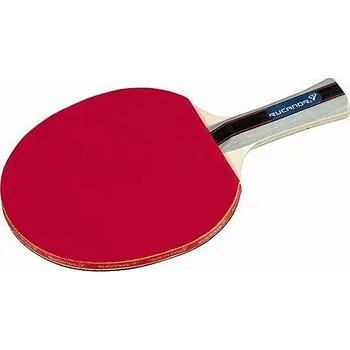 Stolní tenis Pálka na stolní tenis Rucanor Practice super pálka