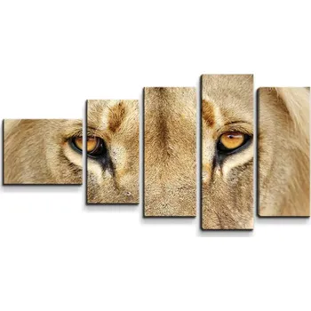 Obraz Sablio Obraz - 5-dílný Pohled lvice - 100x60 cm