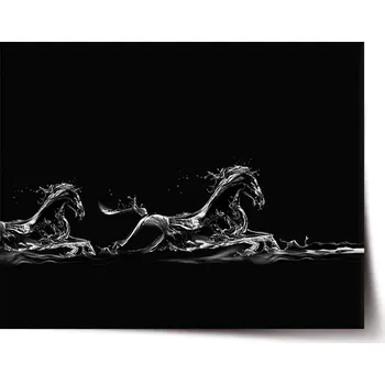 Plakát Sablio Plakát Vodní kůň - 90x60 cm