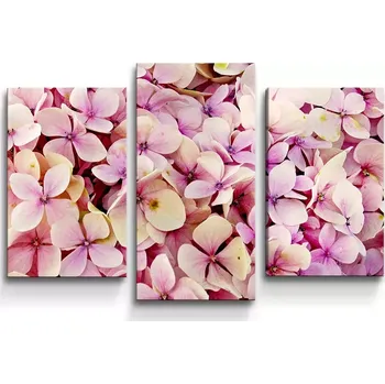 Obraz Sablio Obraz - 3-dílný Růžové květy - 75x50 cm