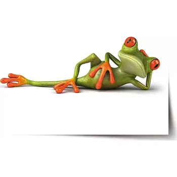 Plakát Sablio Plakát Ležící žába - 60x40 cm