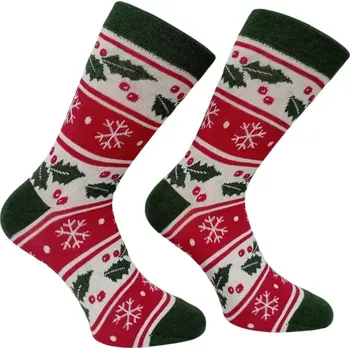 Dámské oblečení Dospělé ponožky Holan - 42-46 / zelená