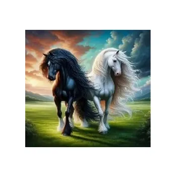 Kalendář Diamantové malování Černá a bílá