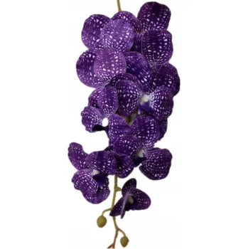 Obraz Orchidej Vanda Orchidej 106 cm - fuchsie 9 květů
