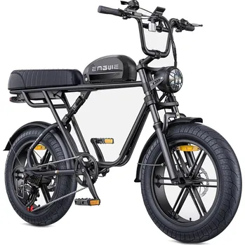 Elektrokolo ENGWE Elektrické motokrosové kolo ENGWE M1 s baterií 48V 15,6Ah 250W, 20" ČERNÁ