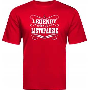 Pánské oblečení Pánské Pánské tričko kulatý výstřihem Fruit of the Loom velikost L