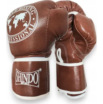Boxerské rukavice Boxerské rukavice Shindo Sport RB 62 RR 12 oz
