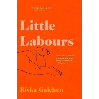 Cizí jazyk Little Labours - Galchen, Rivka