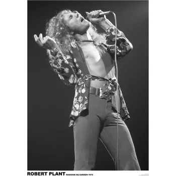 Plakát Plakát, Obraz - Led Zeppelin - Robert Plant March 1975 (colour)