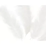 PartyPal Dekorační peříčka bílá dlouhá…