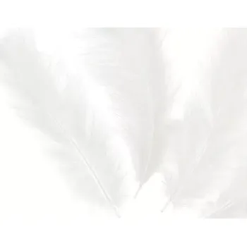 PartyPal Dekorační peříčka bílá dlouhá 50 ks