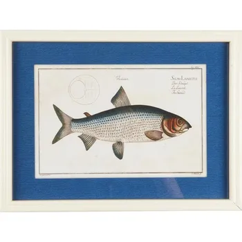 Obraz IB Laursen Obrázek ryby v bílém rámu 2