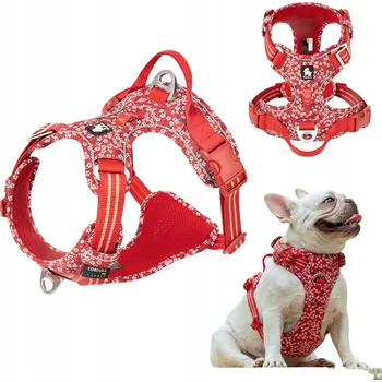 Postroj pro psa SILNÉ postroje pro psa TRUELOVE Blossom červené XS