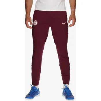 Nike PSG M NK DF STRK PANT KPZ L 1062469