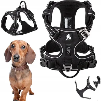 Postroj pro psa Výcvikové postroje Truelove černé s rukojetí, velikost S