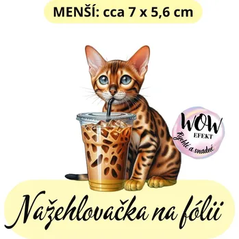 Nažehlovačky na fólii Nažehlovačka na fólii, KOČKA s ledovou kávou, 1 kus Zvolte VELIKOST motivu ZDE:: Menší