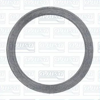 Těsnění výfuku Těsnicí kroužek, výfuková trubka AJUSA 19002200